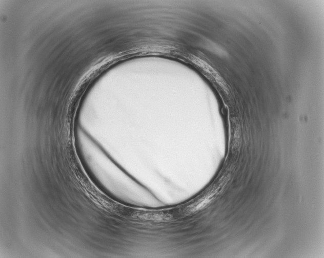 X0000086961027200705141620