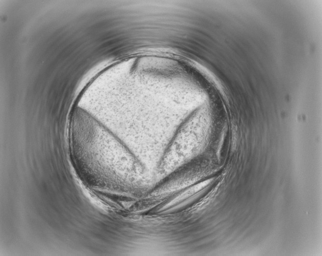 X0000086961050200705141621