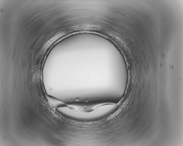 X0000086961073200705141620