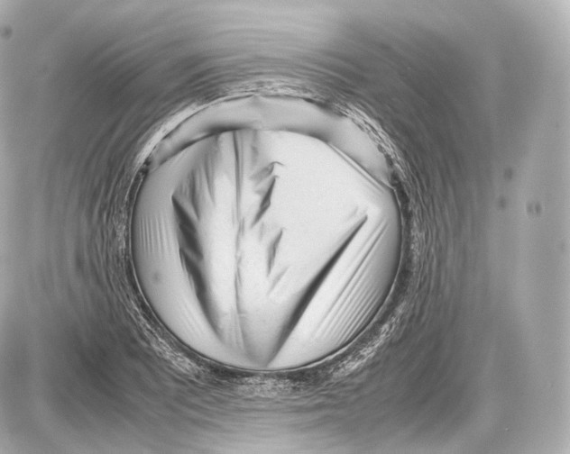 X0000086961081200705141620