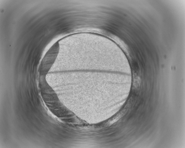 X0000086961102200705141619