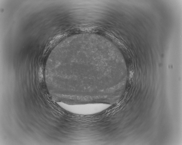 X0000086961106200705141619