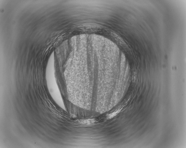 X0000086961108200705141619