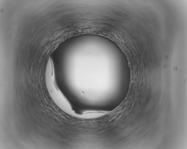 X0000086961109200705141619