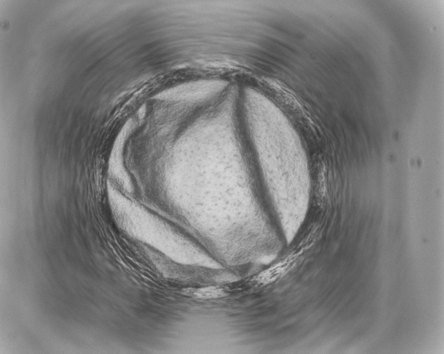 X0000086961110200705141619
