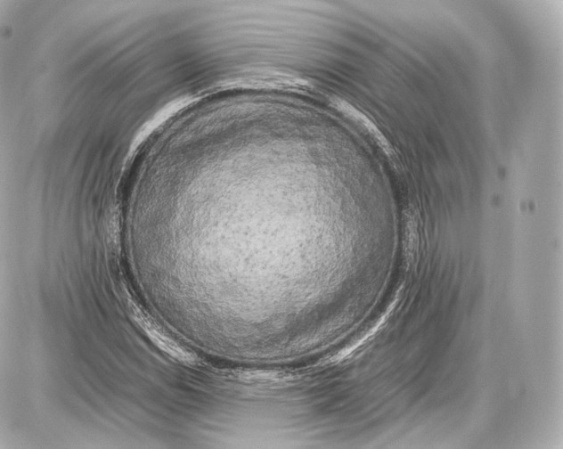 X0000086961114200705141619