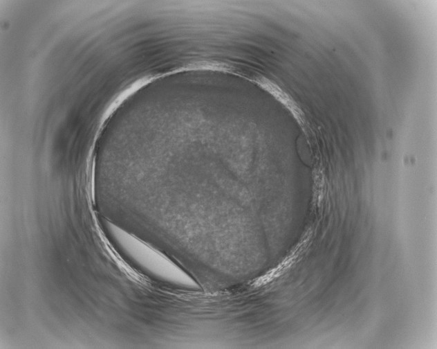 X0000086961127200705141619