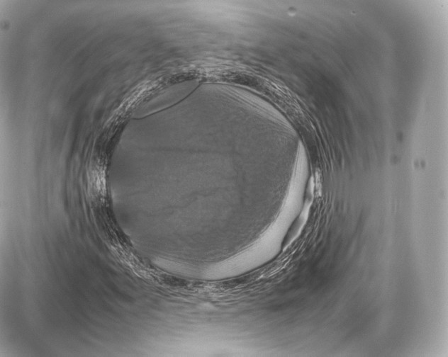 X0000086961155200705141619
