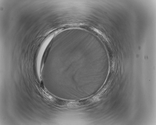 X0000086961161200705141618