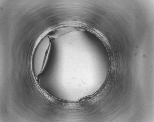 X0000086961188200705141618