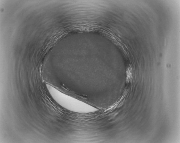 X0000086961202200705141617