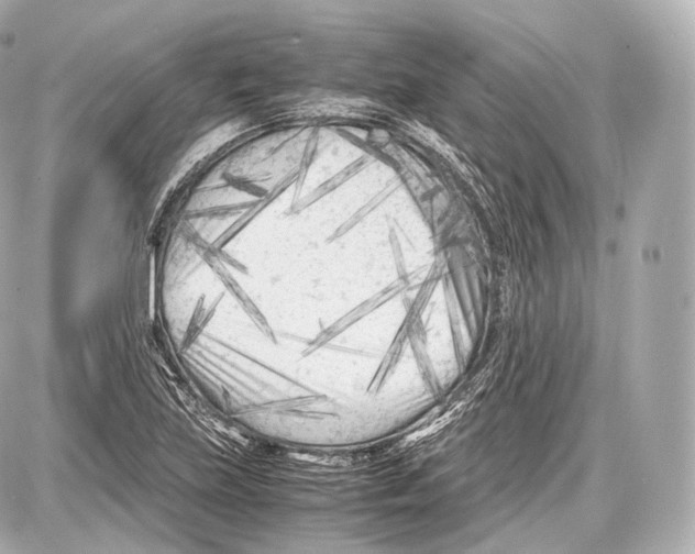 X0000086961219200705141617
