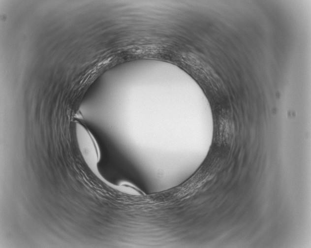 X0000086961250200705141617
