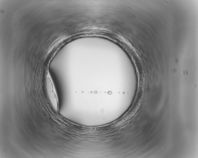 X0000086961259200705141617