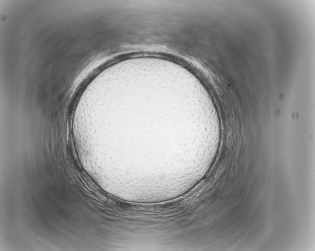 X0000086961271200705141617