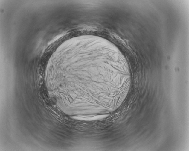 X0000086961303200705141616
