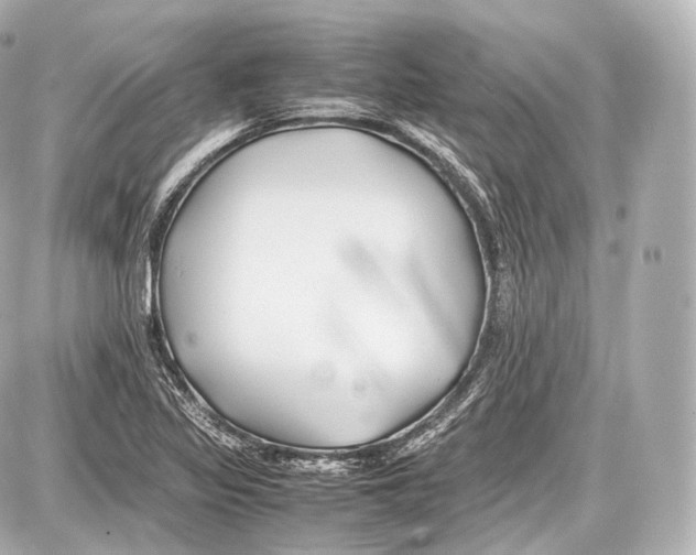 X0000086961317200705141616