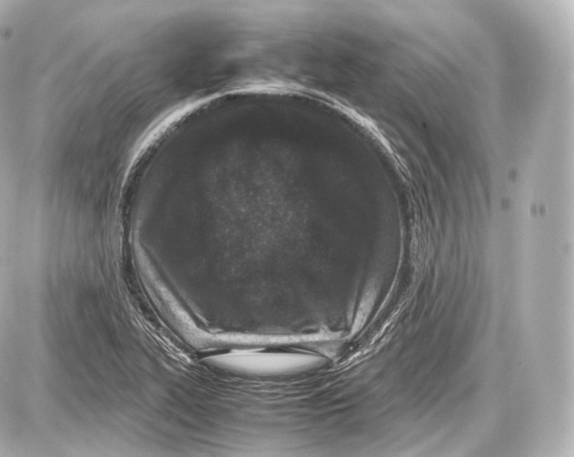 X0000086961319200705141616