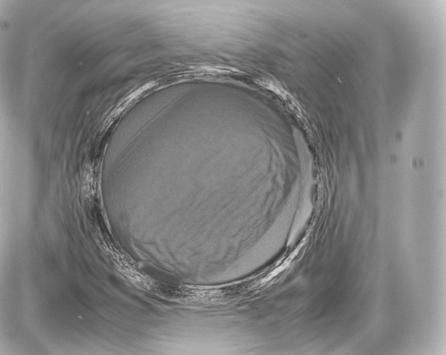 X0000086961353200705141615
