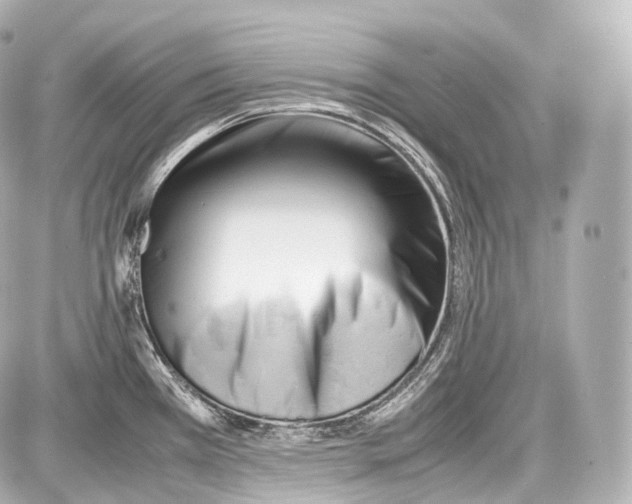 X0000086961385200705141615