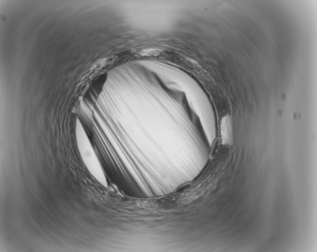 X0000086961443200705141614