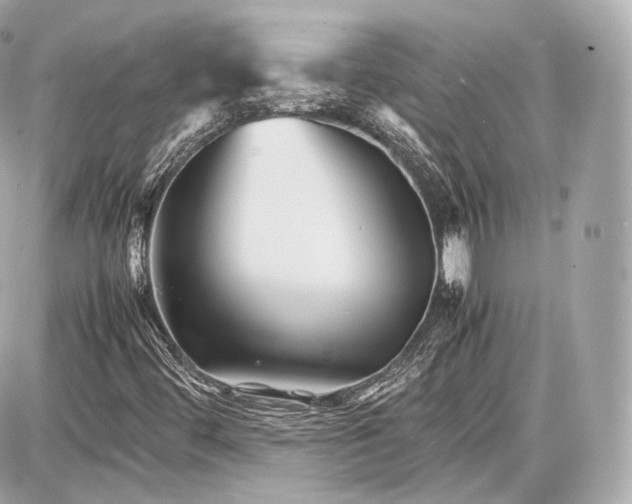 X0000086961444200705141614