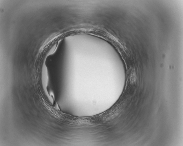 X0000086961448200705141614