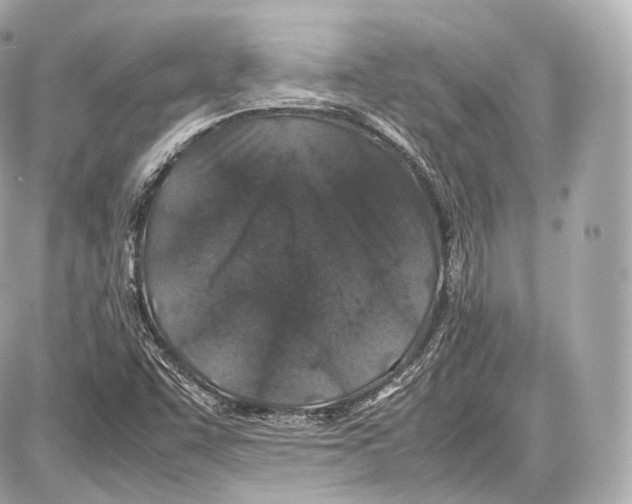 X0000086961455200705141614