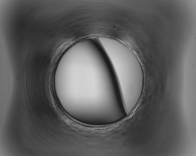 X0000086970001200704161156