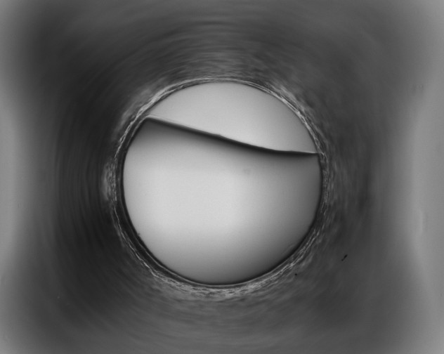 X0000086970002200704161156