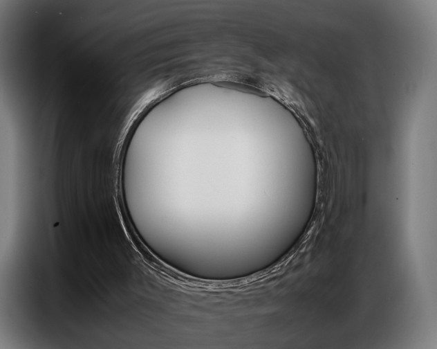 X0000086970003200704161156