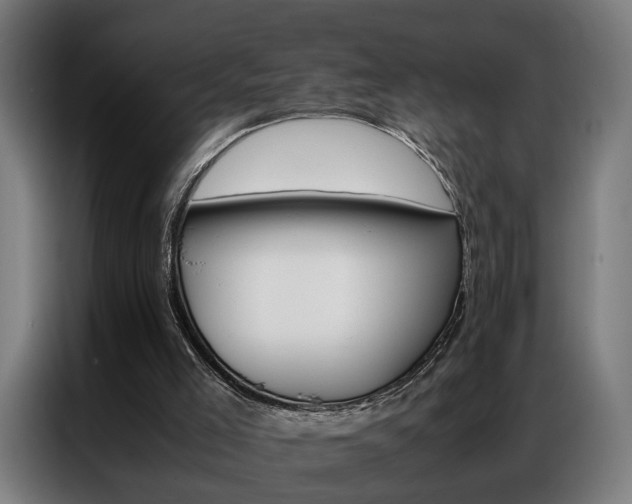 X0000086970005200704161156