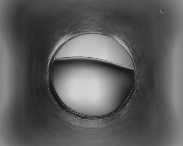 X0000086970008200704161156