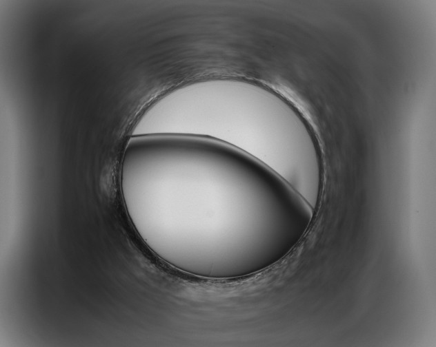 X0000086970009200704161156