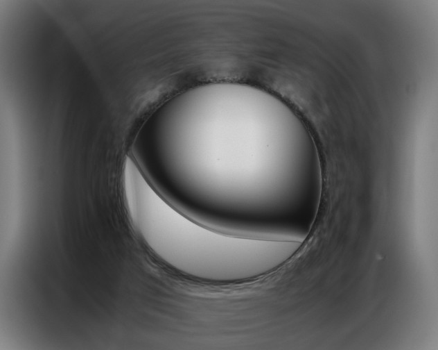 X0000086970017200704161156