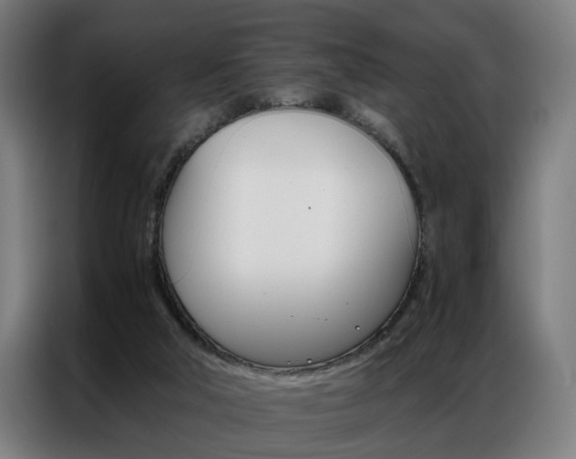 X0000086970018200704161156