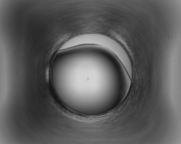 X0000086970019200704161156