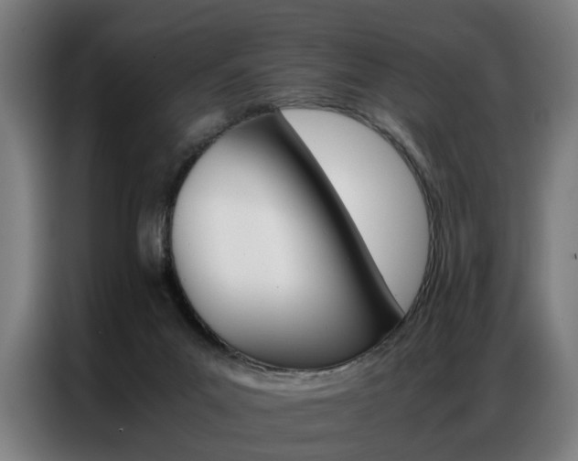 X0000086970023200704161156