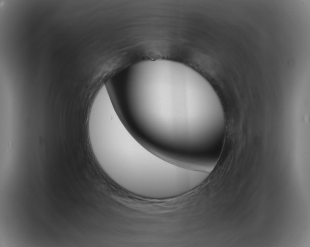 X0000086970027200704161156