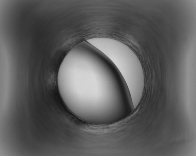 X0000086970029200704161156