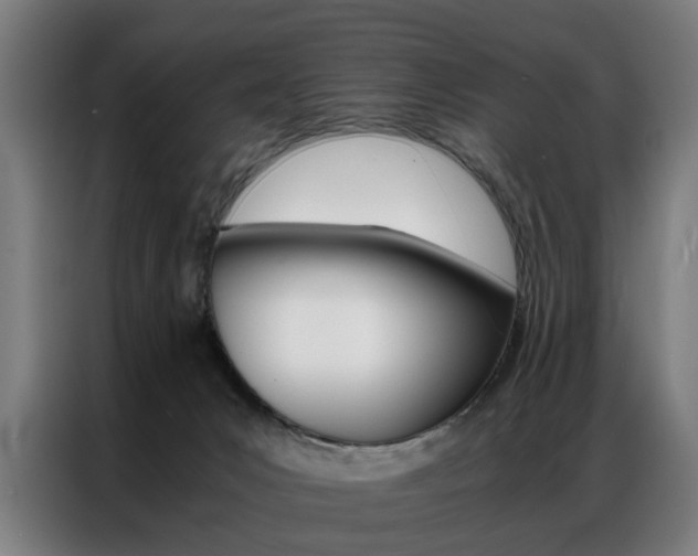 X0000086970031200704161156