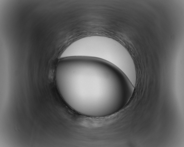 X0000086970033200704161156