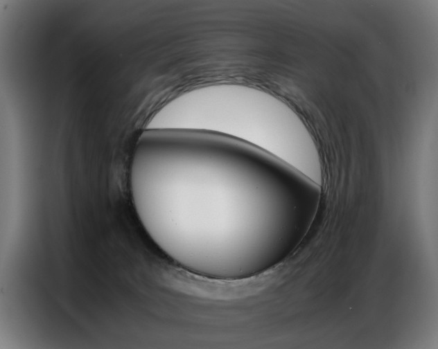 X0000086970035200704161156