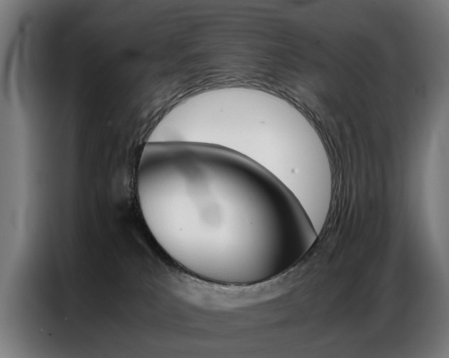 X0000086970039200704161156