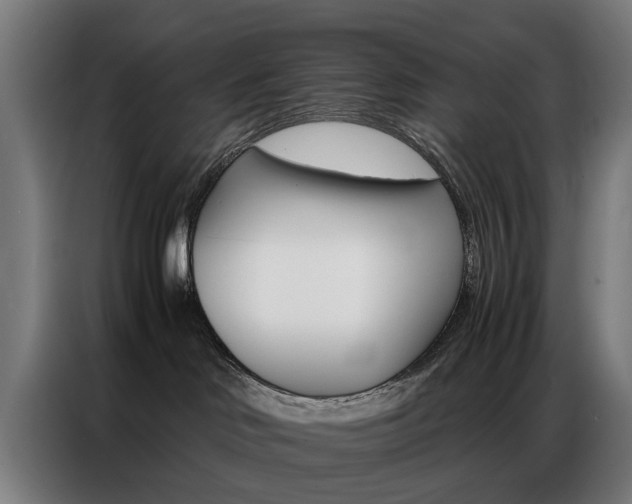 X0000086970046200704161156