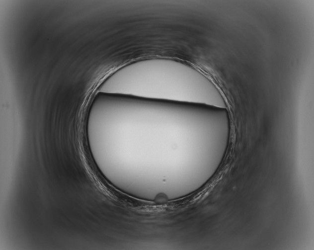 X0000086970049200704161155