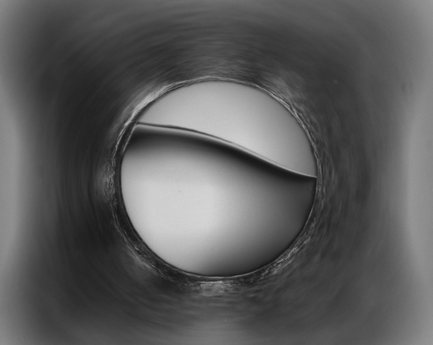 X0000086970050200704161155