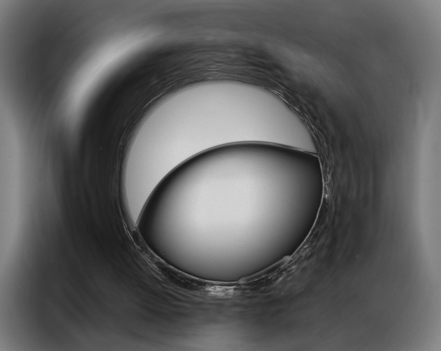 X0000086970052200704161155