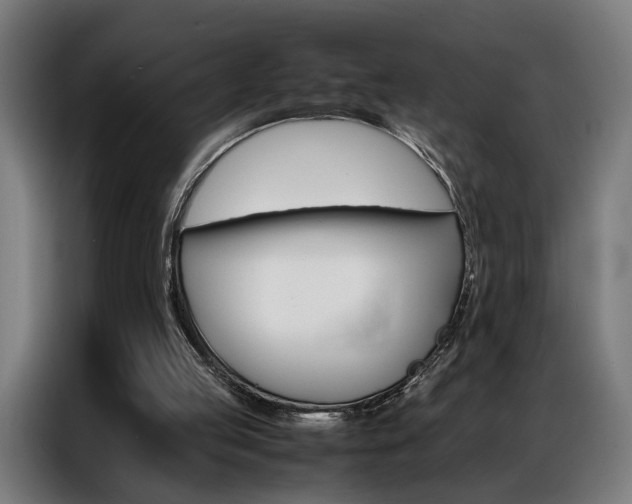 X0000086970053200704161155