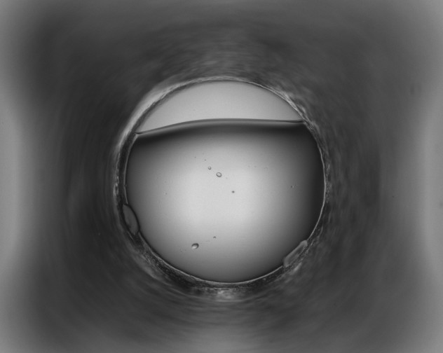 X0000086970056200704161155